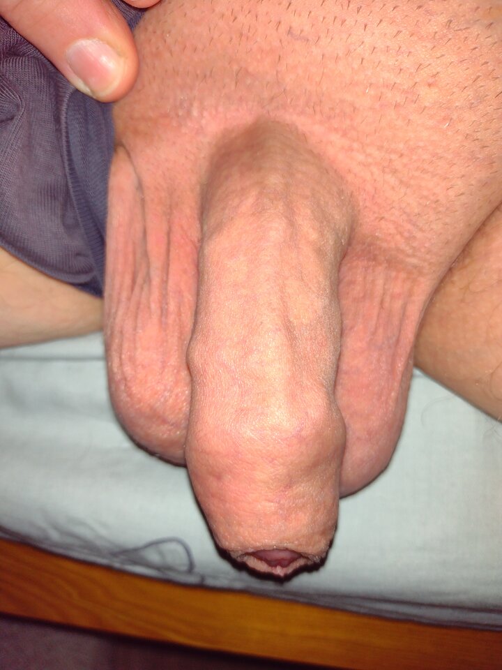 IMG_20240229_045011926.jpg - DajeWam