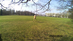 20240229_115607A.mp4_snapshot_00.28.425.jpg
