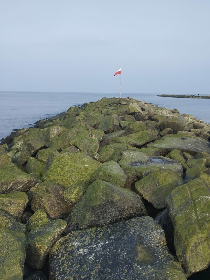 IMG-20240302-WA0055.jpg - Szkp1973