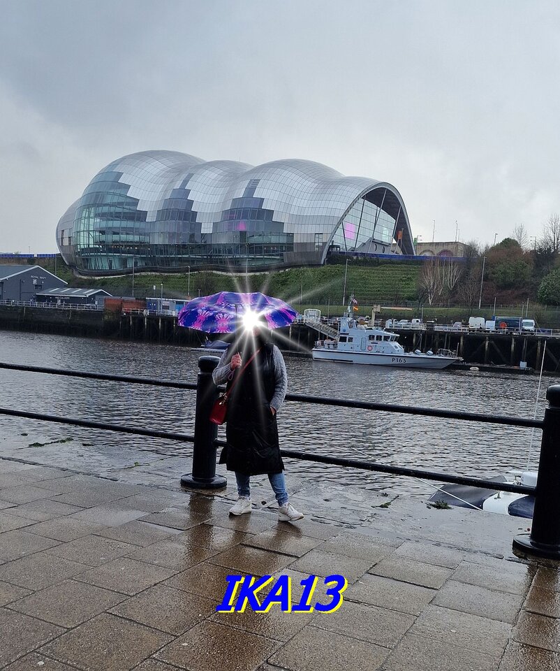 20240302_151229.jpg - ika13