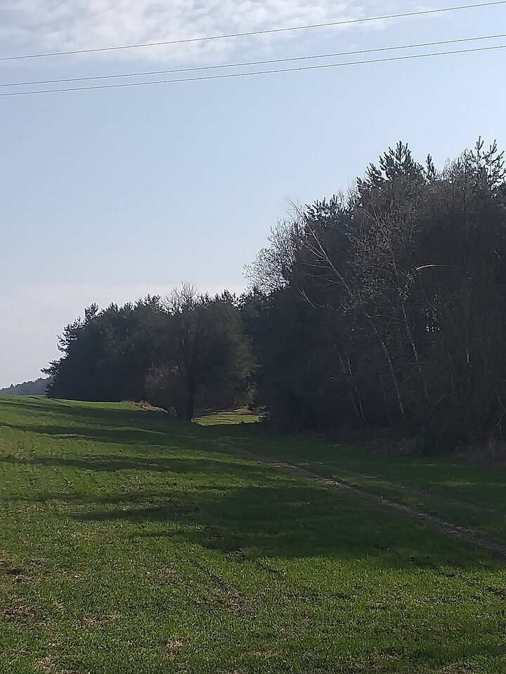 20240303_122609.jpg - BP74