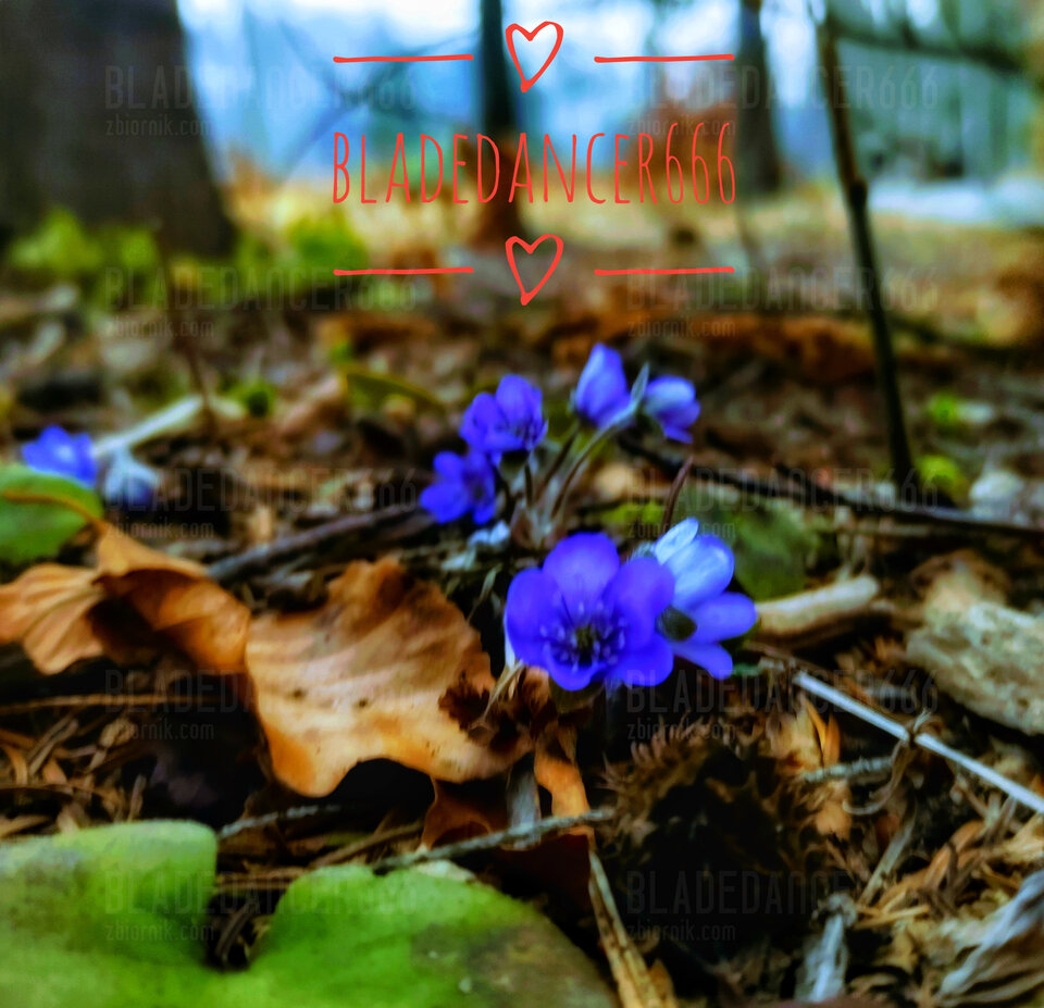 1000030952-01.jpeg - Bladedancer666