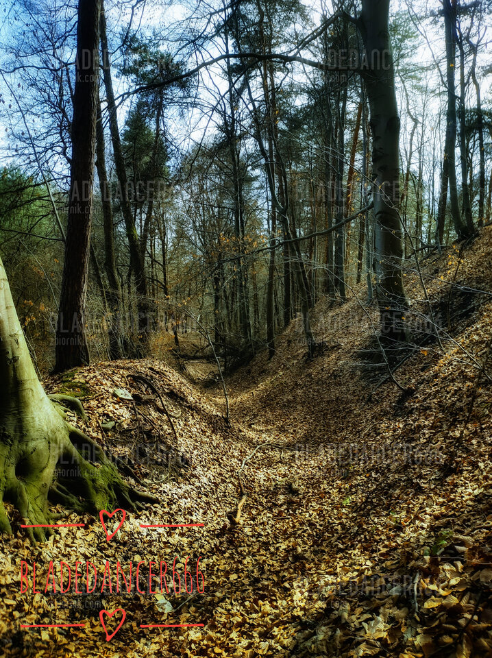 1000031033-01.jpeg - Bladedancer666