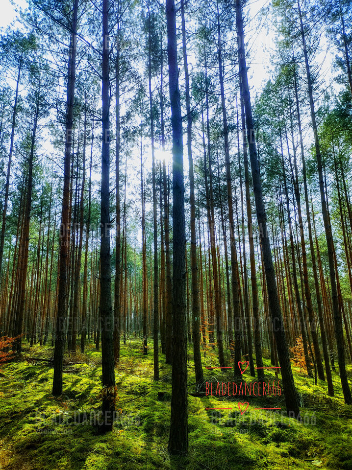 1000031073-01.jpeg - Bladedancer666