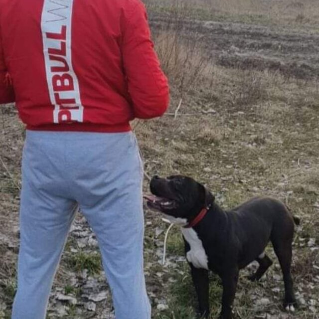 IMG_20240304_171403_680.jpg - Twardy20cmDawid