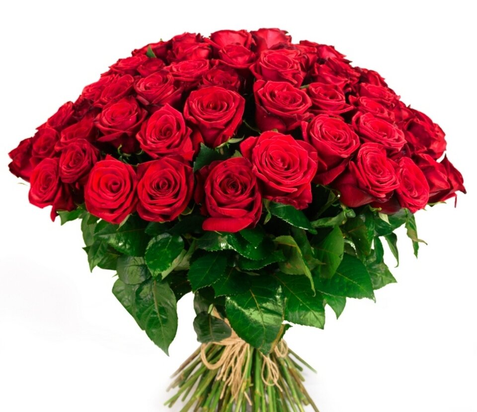 1000006792.jpg - Pan_bokser_