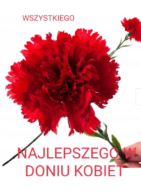 IMG_20240307_155204.jpg - Szwe