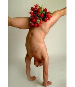 Drogie Panie, w dniu Waszego Święta ...