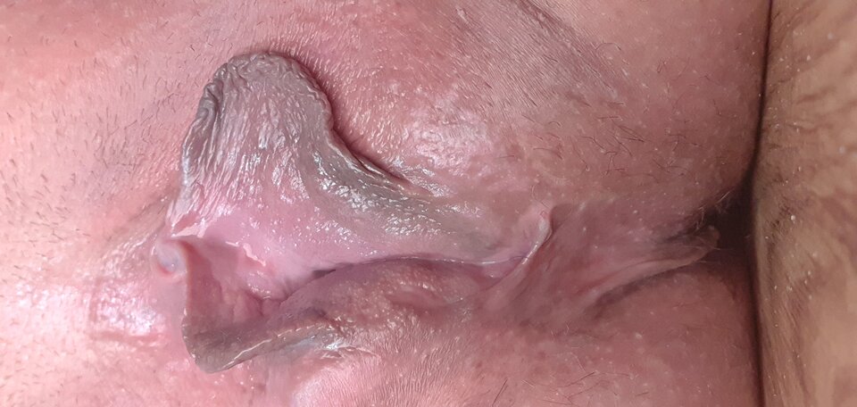 20240309_140238.jpg - 86Dupcia