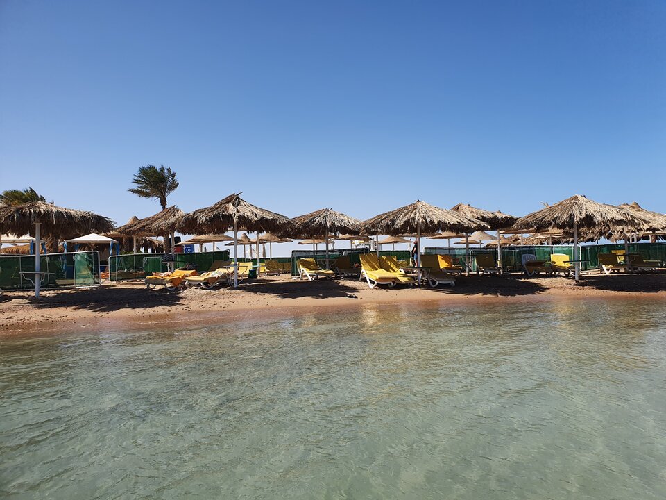 20240303_135047.jpg - redxxxx