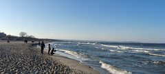 IMG_20240310_154945.jpg