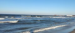 IMG_20240310_154940.jpg