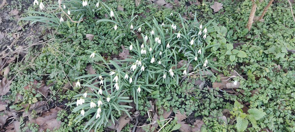 IMG_20240310_143204.jpg - edytkaandrzej