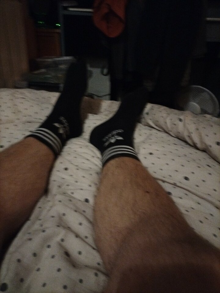 IMG-20230808-WA0008.jpeg - Milu2