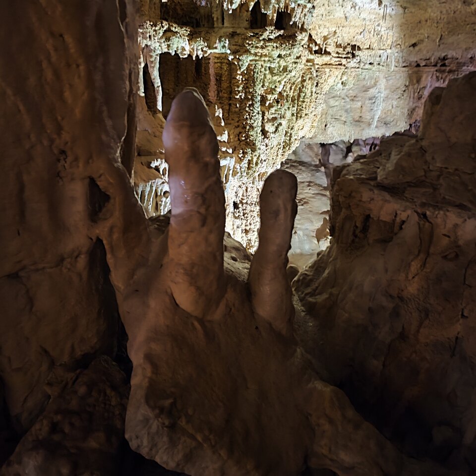 SAVE_20240225_192921.jpg - Kaaktuss